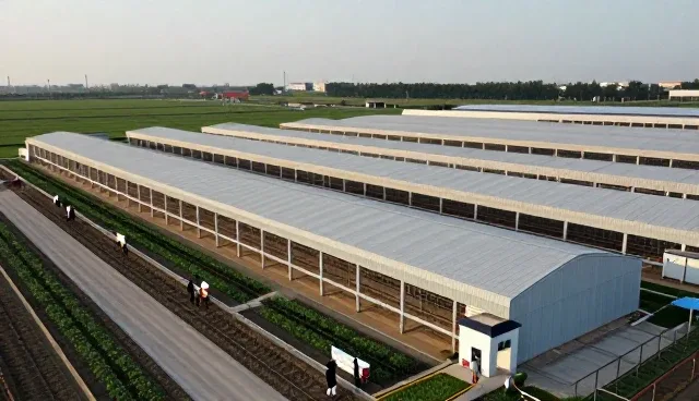 商业空间中使用种苗供应的优势分析
